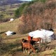 Приключение "Назад към корените" за Двама Приключение "Назад към корените" за Двама