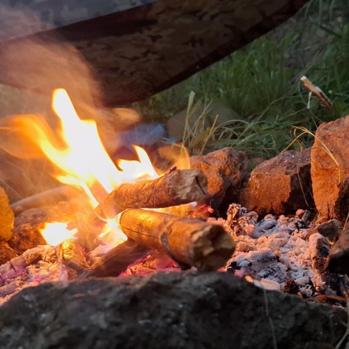 Еднодневен курс по оцеляване Еднодневен курс по оцеляване