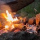Еднодневен курс по оцеляване Еднодневен курс по оцеляване