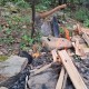 Еднодневен курс по оцеляване Еднодневен курс по оцеляване